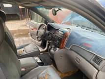 A picture of Sienna 06