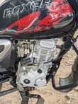 A picture of Boxer x 125