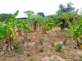 A picture of Nyumba inauzwa Kibaha kwa Mfipa