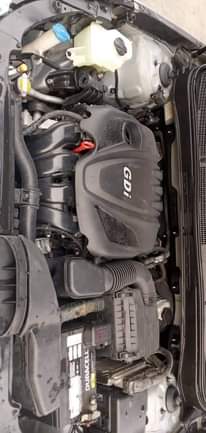 A picture of 2012 HYUNDAI SONATA BASIC OPTION