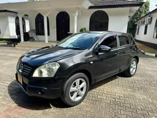 A picture of NISSAN DUALIS