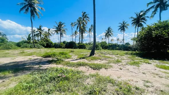 A picture of Beach plot