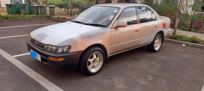 used toyota corolla