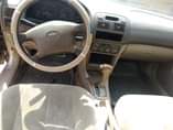 A picture of Corolla beast