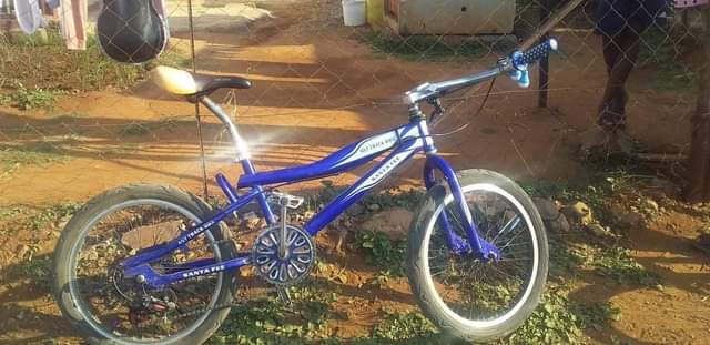 Rustenburg's Q.