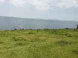 A picture of Land Touching Lake Victoria for Sale