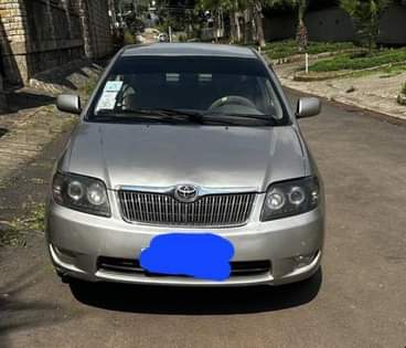 cars