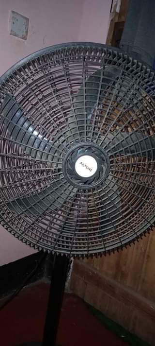 A picture of FENI INAUZWA BEI POA SANA