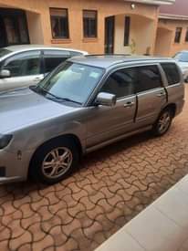 A picture of Subaru Forester