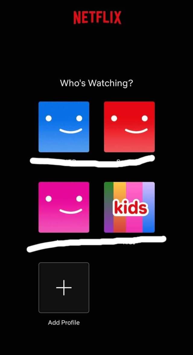 A picture of Nexflix account shared 5 month