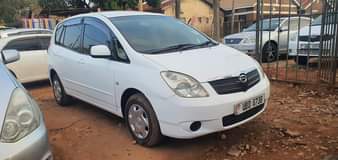 A picture of Toyota Spacio New model