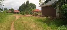 A picture of Wakiso Namayumba