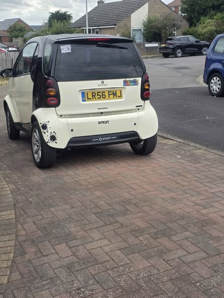 smart