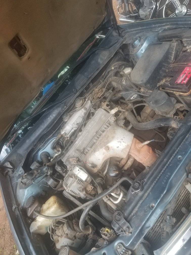A picture of Motor