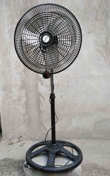 fans