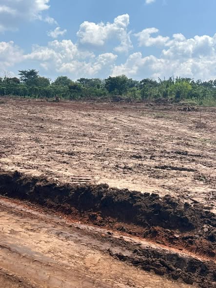 A picture of TITTLED PLOTS At 12M