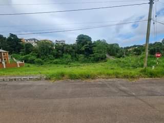 Petagay D.