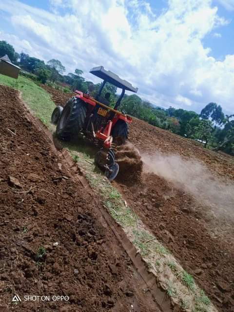 Wachira D.