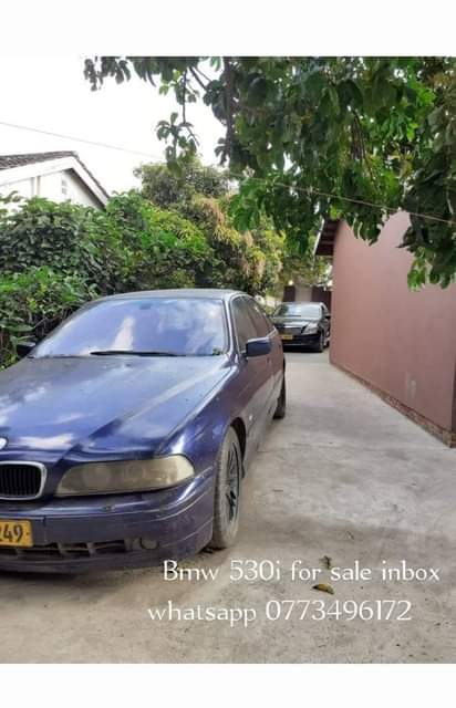 classifieds/cars bmw