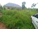A picture of CHEAP PLOTS