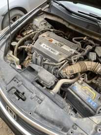 A picture of Honda Accord 2008