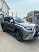 A picture of 2011 GX 460
