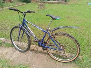 A picture of Sports bike bicycle 