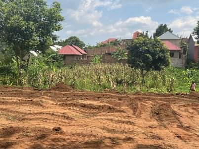 A picture of Plots at 25m in Kiyunga Mukono