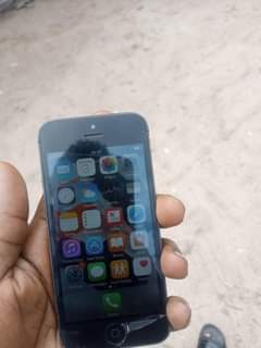 iphones 5s