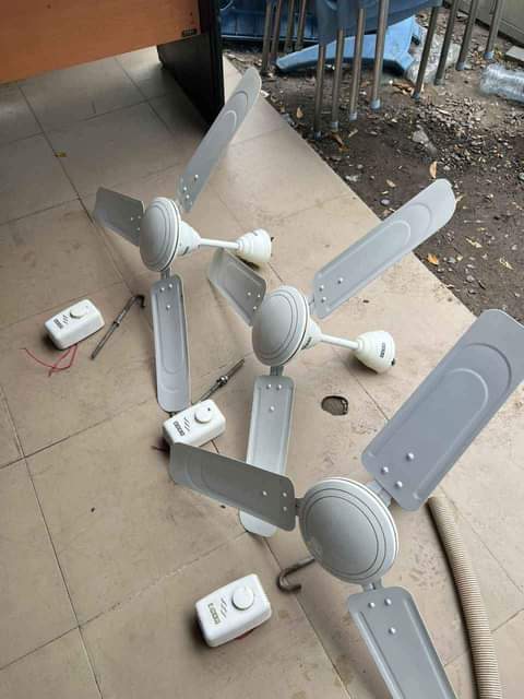 fans