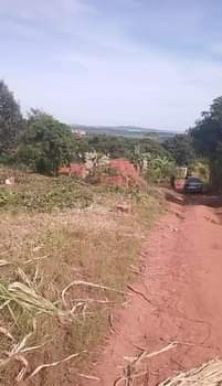 A picture of Nice Plots for sale Price 6millions