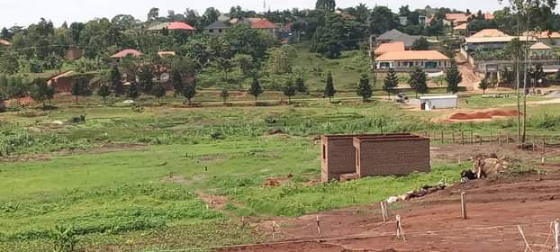 A picture of Plots