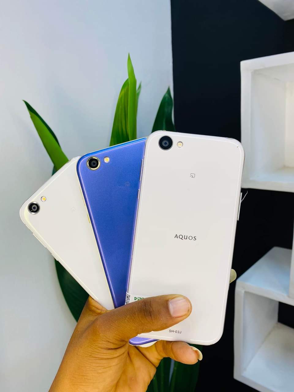 sharp aquos