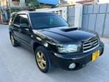 A picture of SUBARU FORESTER