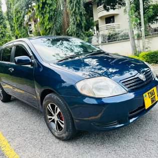 A picture of Toyota allex