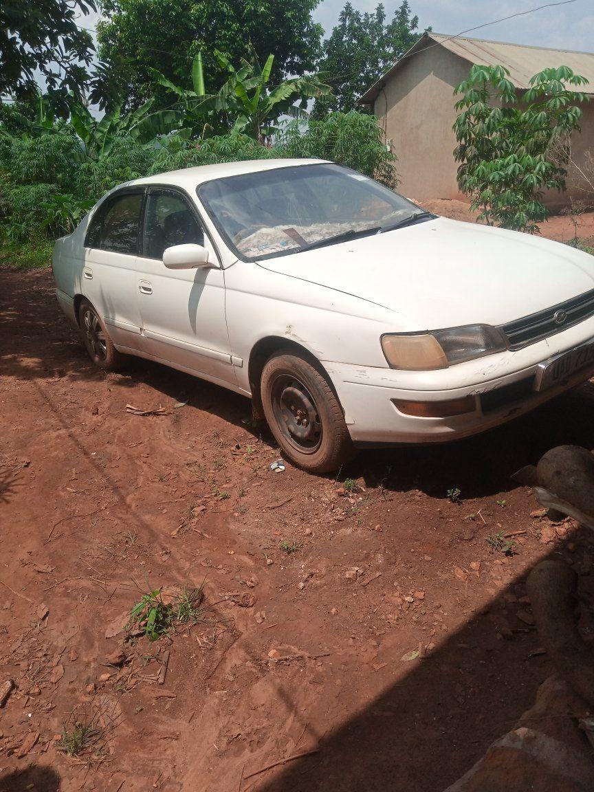 A picture of Toyota Corolla 190