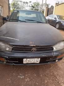 A picture of Camry Orobo