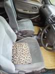 A picture of Kikumi