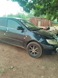 A picture of 1998 Toyota Corolla 1998