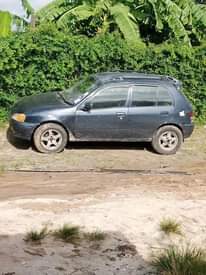 A picture of Starlet
