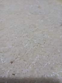 A picture of Super rice