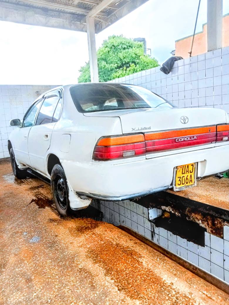 A picture of Corolla AE100 kikumi