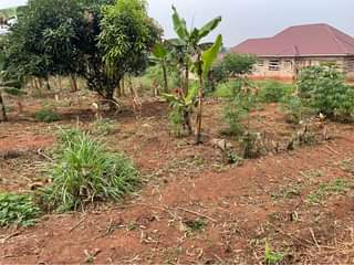 A picture of Plots for sale