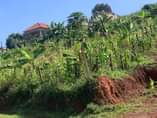 A picture of QUICK SALE Quick sale 35decimals for Sale in Seguku Katale
