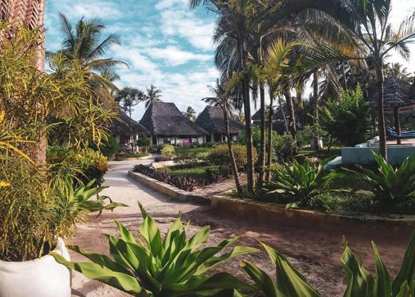 A picture of Prime Beachfront Investment Opportunity Matemwe Zanzibar