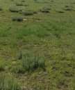 A picture of 1000m2 stand for sales