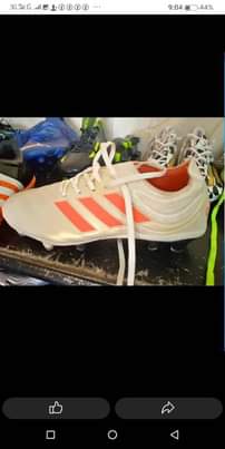 A picture of Soccer boot