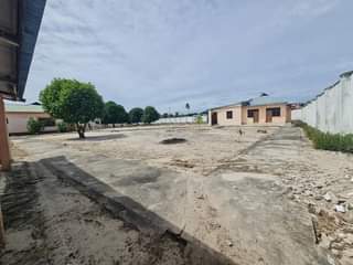 A picture of YARD INAUZWA