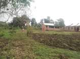 A picture of Helf an Acre on sale 13 5m located at semuto