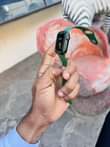 A picture of Saa za kijanja zenye uwezo wa kuweka laini ya simu